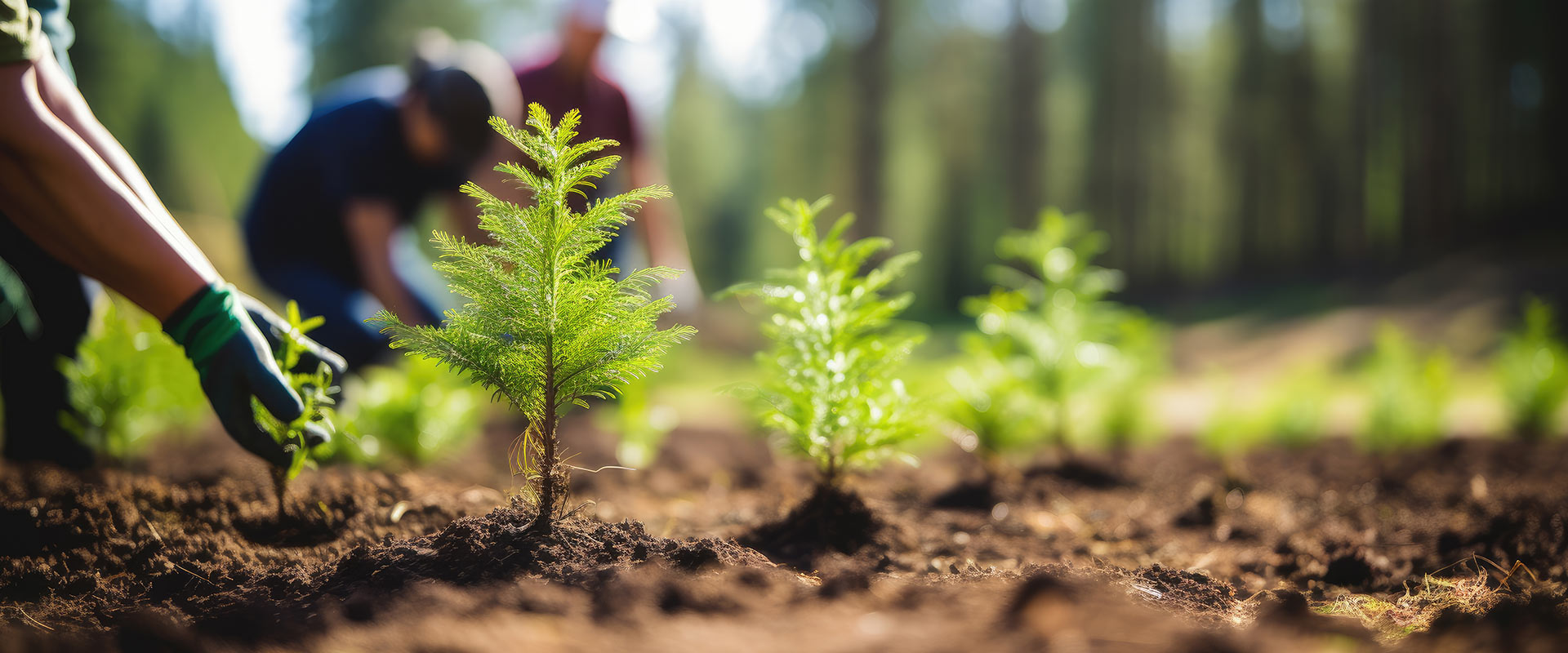 Header-nachhaltigkeit